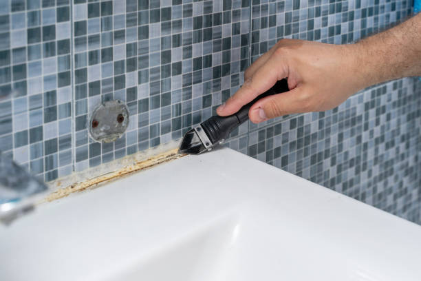 Best Professional Mold Removal  in Marysville, KS