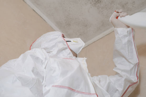 Best Affordable Mold Removal  in Marysville, KS